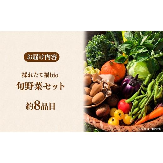 ふるさと納税 セット・詰合せ 埼玉県 所沢市 採れたて福bio旬野菜セット (約8品目) | 野菜 野菜詰め合わせ 野菜セット 詰め合わせ 詰合せ セット 産地直送 福b…の画像