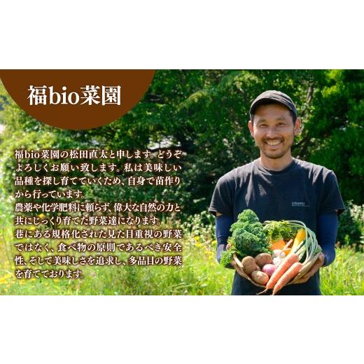 ふるさと納税 セット・詰合せ 埼玉県 所沢市 採れたて福bio旬野菜セット (約8品目) | 野菜 野菜詰め合わせ 野菜セット 詰め合わせ 詰合せ セット 産地直送 福b…の画像
