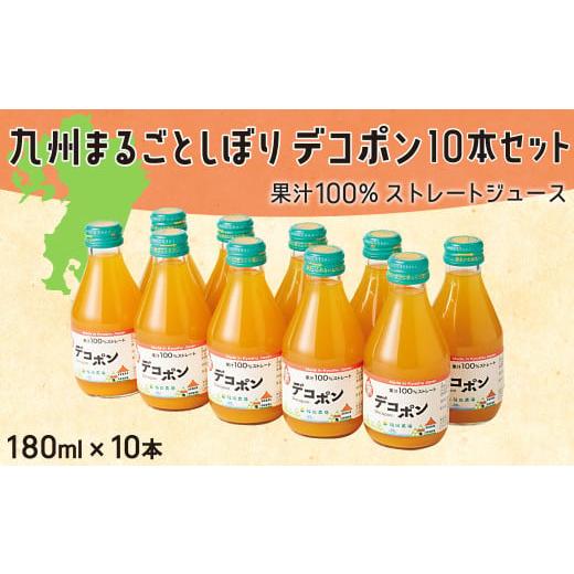 ふるさと納税 果汁飲料 みかん 熊本県 水俣市 九州まるごとしぼりデコポン 10本(各180ml) セット 果汁100%