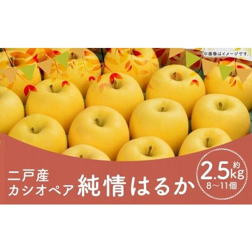 ふるさと納税 りんご 岩手県 二戸市 二戸産 カシオペア 純情はるか 約2.5kg (個数:8個〜11個) 2025年12月上旬〜下旬発送予定 / 林檎 リンゴ フルーツ 果物…