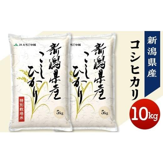 ふるさと納税 米 コシヒカリ 新潟県 長岡市 75-7N101A新潟県長岡産コシヒカリ10kg(特別栽培米) 2026年1月下旬発送 発送時期:2026年1月下旬