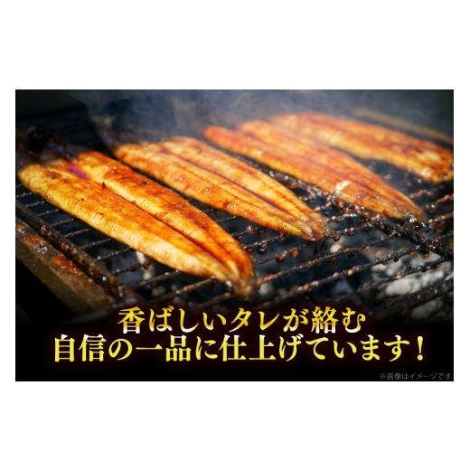 ふるさと納税 うなぎ 福岡県 宇美町 うなぎ 国産 定期便 鰻 蒲焼 特大 約200g 2尾 計400g以上 12回 総計約4.8kg 小分け 有頭 大黒物産 福岡県 宇美町 um40bak8…_5
