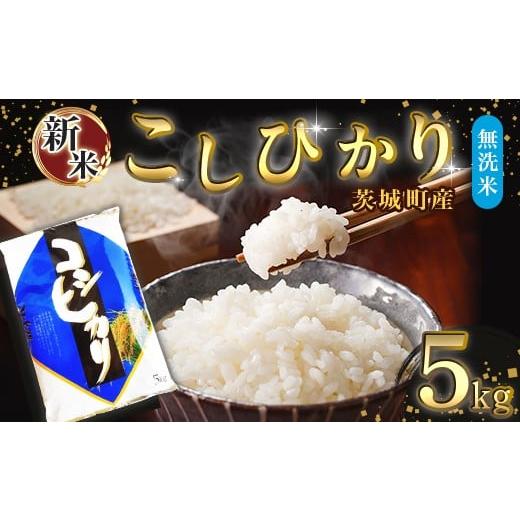 ふるさと納税 米 コシヒカリ 茨城県 茨城町 684 令和7年産 茨城町産 無洗米 こしひかり 5kg 野口ライス