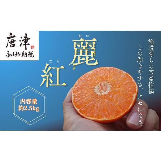 ふるさと納税 果物類 みかん 佐賀県 唐津市 『予約受付』 令和9年1月下旬より順次発送 農家直送 施設育ちの希少柑橘 麗紅(箱込み2.5kg) みかん ミカン 蜜柑 柑…