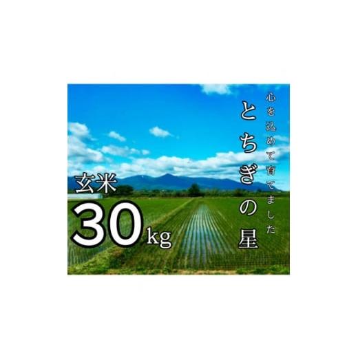 ふるさと納税 玄米 栃木県 小山市 令和7年産 とちぎの星 玄米 30kg 1628168
