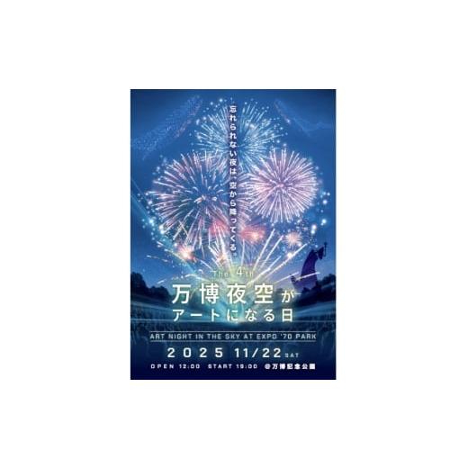 ふるさと納税 花火大会チケット 大阪府 茨木市 第4回万博夜空がアートになる日 花火鑑賞チケット ダイナミックシートペア(大阪北摂エリア共通返礼品) 1673285