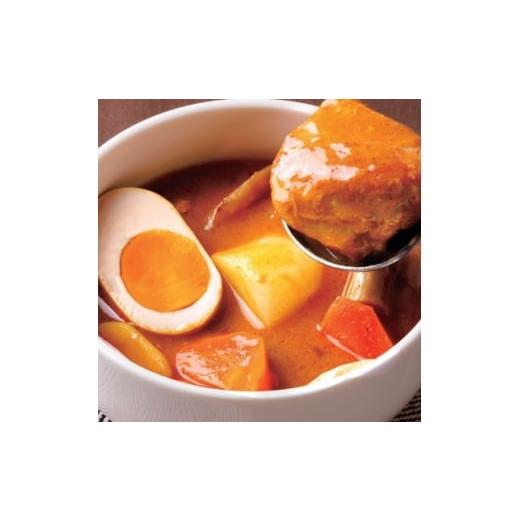 ふるさと納税 加工品等 レトルト 兵庫県 尼崎市 兵庫の恵みと園田学園大学のコラボ商品 「百日どりが恋におちる魅惑の和風スープカレー」 2個セット 1635868