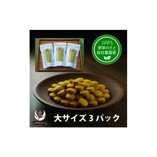 ふるさと納税 加工品等 山梨県 - 秋うこん 600粒×3パック 1670280