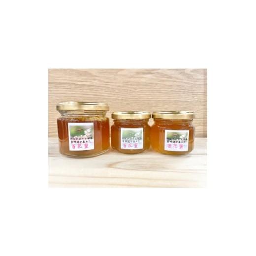 ふるさと納税 加工品等 はちみつ 宮城県 - 南三陸の百花蜜 〜日本ミツバチ100%の希少なはちみつ〜 1642792