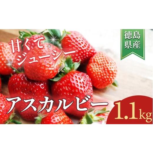 ふるさと納税 いちご 徳島県 三好市 いちご 1.1kg 先行予約 アスカルビー 究極のいちご 甘酸っぱい 甘い 香り 苺 イチゴ 果物 フルーツ ストロベリー ジャム …