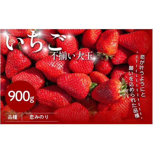 ふるさと納税 いちご 徳島県 三好市 いちご 900g 先行予約 大粒 恋みのり 極上 香り 甘い 苺 イチゴ 果物 フルーツ ストロベリー ジャム スムージー 期間限定 …