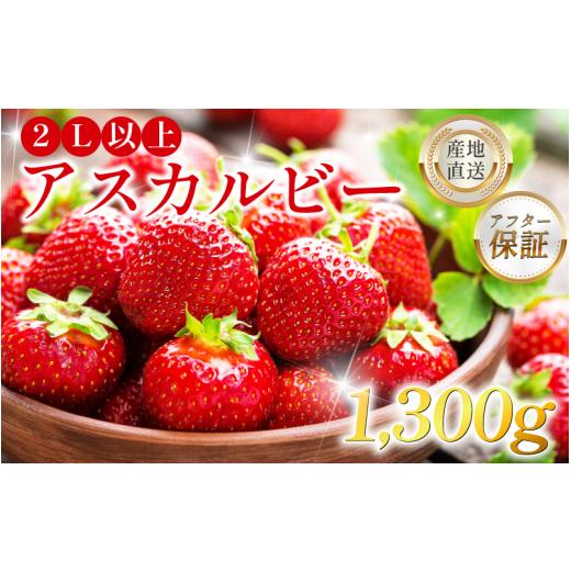 ふるさと納税 いちご 徳島県 三好市 いちご 1.3kg 先行予約 アスカルビー 2L以上 究極のいちご 甘酸っぱい 甘い 香り 苺 イチゴ 果物 フルーツ ストロベリー …