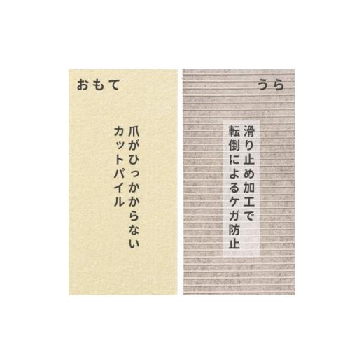 ふるさと納税 家具 大阪府 和泉市 水が転がる程の撥水性 防水ペットマット「UKU」50枚セット ホワイト 複数個口で配送 4074721の画像