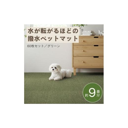 ふるさと納税 家具 大阪府 和泉市 水が転がる程の撥水性 防水ペットマット「UKU」60枚セット グリーン 複数個口で配送 4074733の画像