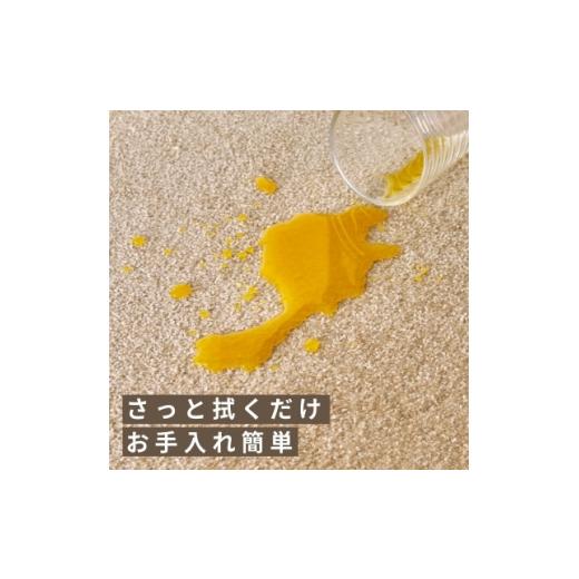 ふるさと納税 家具 大阪府 和泉市 水が転がる程の撥水性 防水ペットマット「UKU」60枚セット グリーン 複数個口で配送 4074733の画像