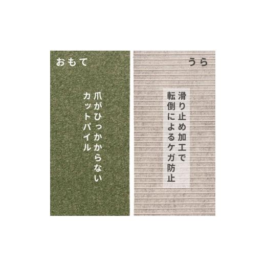 ふるさと納税 家具 大阪府 和泉市 水が転がる程の撥水性 防水ペットマット「UKU」60枚セット グリーン 複数個口で配送 4074733の画像