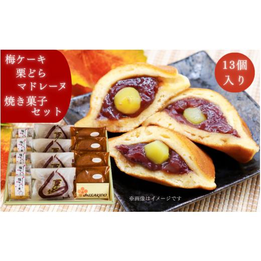 ふるさと納税 焼菓子・チョコレート 和歌山県 みなべ町 自家製焼き菓子詰め合わせ mskdo001A