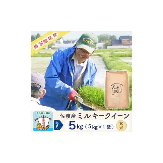 ふるさと納税 米 ミルキークイーン 新潟県 佐渡市 新米予約 9か月定期便 佐渡島産ミルキークイーン 玄米5Kg 令和7年 特別栽培米
