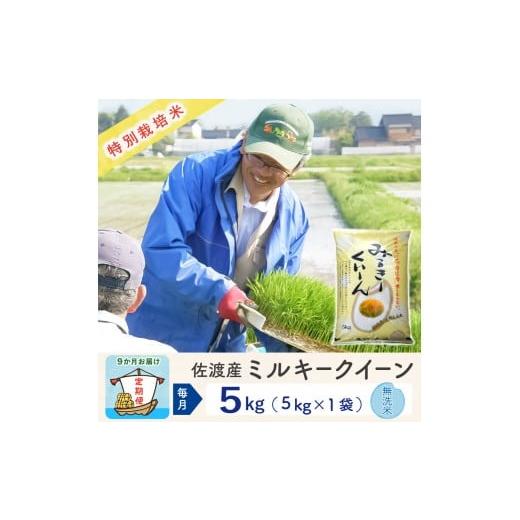ふるさと納税 米 ミルキークイーン 新潟県 佐渡市 新米予約 9か月定期便 佐渡島産ミルキークイーン 無洗米5Kg 令和7年 特別栽培米