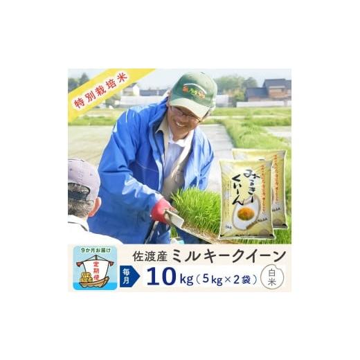 ふるさと納税 米 ミルキークイーン 新潟県 佐渡市 新米予約 9か月定期便 佐渡島産ミルキークイーン 白米10Kg(5Kg×2袋)令和7年 特別栽培米