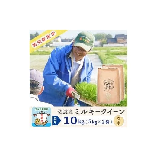 ふるさと納税 米 ミルキークイーン 新潟県 佐渡市 新米予約 9か月定期便 佐渡島産ミルキークイーン 玄米10Kg (5Kg×2袋)令和7年 特別栽培米