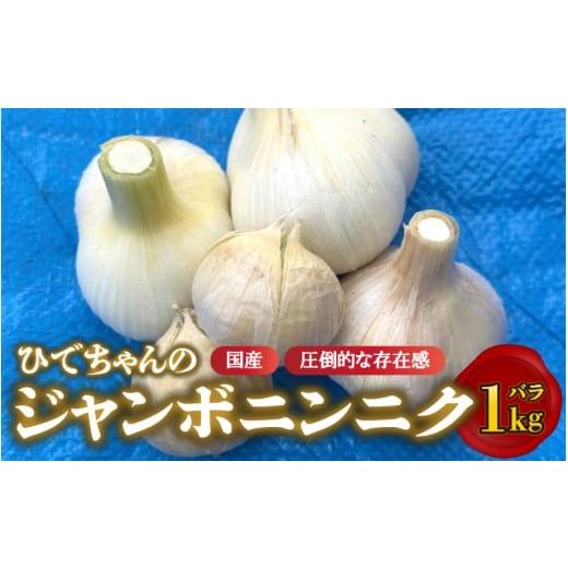 ふるさと納税 野菜類 島根県 邑南町 先行予約 ひでちゃんのジャンボニンニク(バラ)1kg