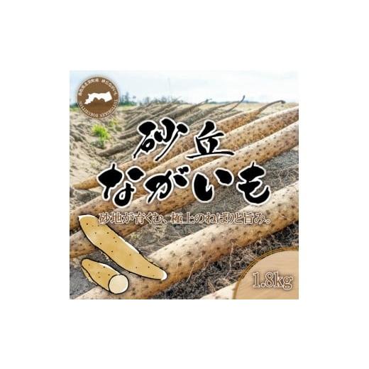 ふるさと納税 人参・大根・他根菜 鳥取県 北栄町 1113.砂丘ながいも1.8kg