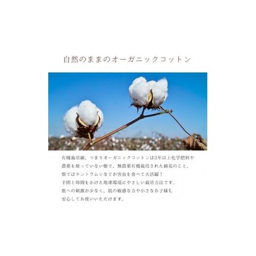 ふるさと納税 タオル・寝具 敷布団 和歌山県 和歌山市 敷きパッド 紀州ネルでつくる日本製コットン敷パッド セミダブル_2
