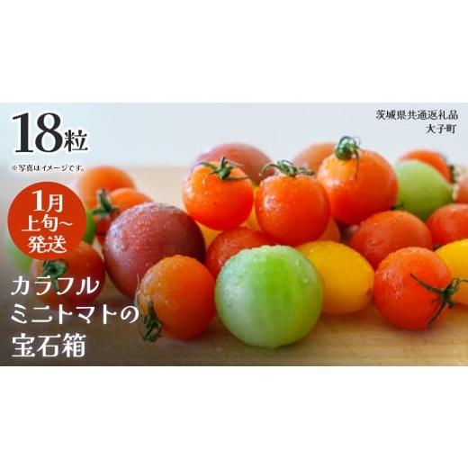 ふるさと納税 野菜類 トマト 茨城県 牛久市 カラフル ミニトマト の宝石箱 18粒 2026年1月上旬発送開始 (茨城県共通返礼品:大子町) 野菜 フルーツ 旬 季節限…