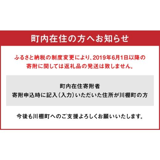 ふるさと納税 加工品等 レトルト 長崎県 川棚町  2回定期便 角煮 5個・角煮まん 5個 詰合せ 角煮家こじま OCL082の画像
