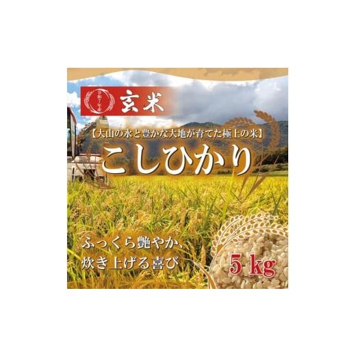 ふるさと納税 玄米 鳥取県 北栄町 1108.令和7年産 こしひかり玄米 5kg