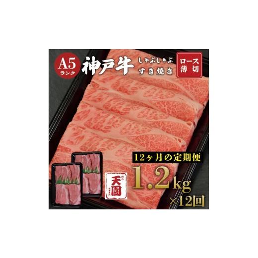 ふるさと納税 牛肉 ロース 兵庫県 神戸市 ふるさと納税 定期便(頒布会) 神戸牛 霜降り 肩ロース しゃぶしゃぶすき焼き1200g×12ヶ月
