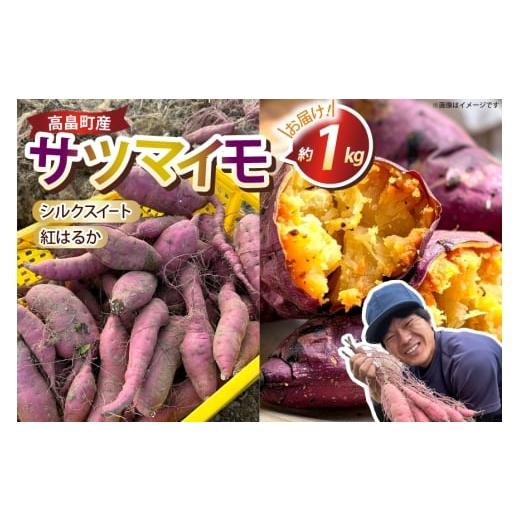 ふるさと納税 野菜類 サツマイモ 山形県 高畠町 期間限定発送 さつまいも 2種 紅はるか シルクスイート 詰め合わせ 約1kg (4〜6本) 農家の店しゃんくすろーど…