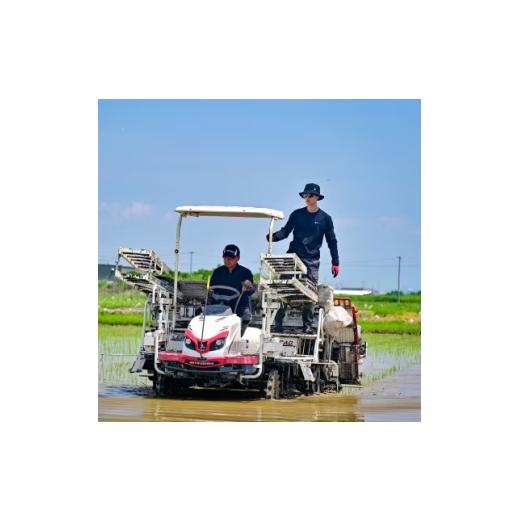 ふるさと納税 玄米 岐阜県 羽島市 令和7年産 岐阜県産ハツシモ(玄米) 30kg 国産 米 1673355の画像