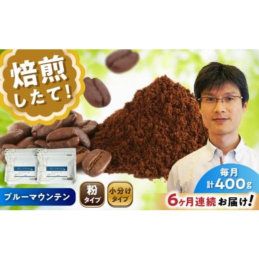 ふるさと納税 コーヒー コーヒー粉 愛知県 瀬戸市  全6回定期便 ブルーマウンテンNo.1 コーヒー粉 200g×2個 (粉／中挽き) ／ 珈琲 コーヒー 粉 ／ 瀬戸市 ／ …の画像