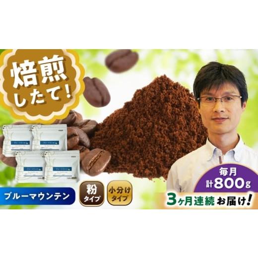 ふるさと納税 コーヒー コーヒー粉 愛知県 瀬戸市  全3回定期便 ブルーマウンテンNo.1 コーヒー粉 200g×4個 (粉／中挽き) ／ 珈琲 コーヒー 粉 ／ 瀬戸市 ／ …の画像