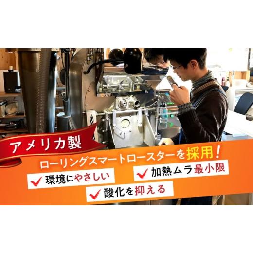 ふるさと納税 コーヒー コーヒー粉 愛知県 瀬戸市  全3回定期便 ブルーマウンテンNo.1 コーヒー粉 200g×4個 (粉／中挽き) ／ 珈琲 コーヒー 粉 ／ 瀬戸市 ／ …の画像