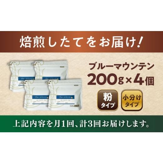 ふるさと納税 コーヒー コーヒー粉 愛知県 瀬戸市  全3回定期便 ブルーマウンテンNo.1 コーヒー粉 200g×4個 (粉／中挽き) ／ 珈琲 コーヒー 粉 ／ 瀬戸市 ／ …の画像