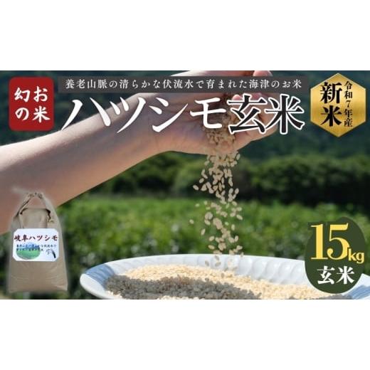 ふるさと納税 玄米 岐阜県 海津市   「 幻の米 」 ハツシモ 玄米 15kg