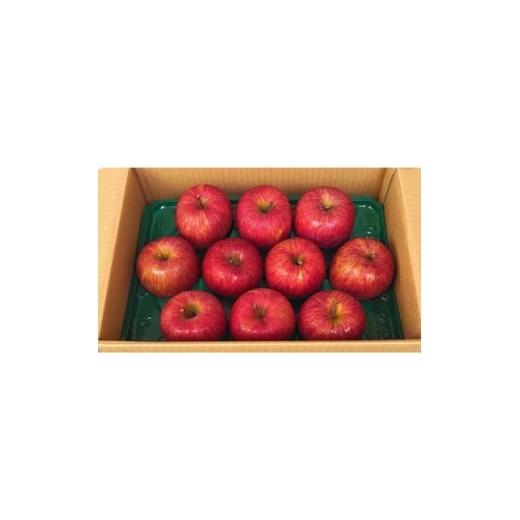 ふるさと納税 りんご 青森県 田舎館村 青森県産りんご 3kg(1箱 7〜12個入り) 1672875