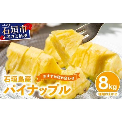 ふるさと納税 果物類 沖縄県 石垣市 訳あり 石垣島産 パイナップル 詰め合わせ 約8kg (6〜20個)[2026年5月から順次発送] | ふるさと納税 パイナップル 産地…