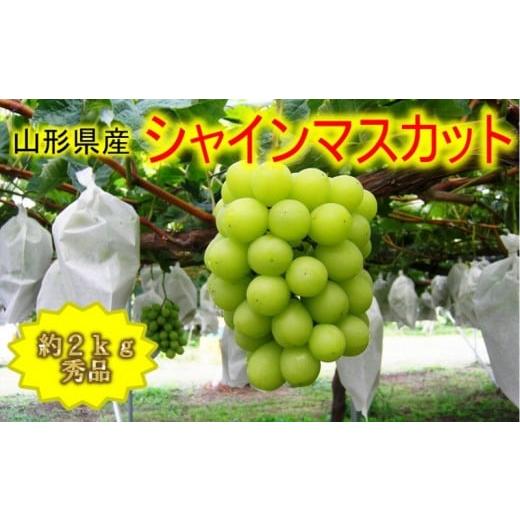 ふるさと納税 ぶどう マスカット 山形県 中山町 先行受付 2025年9月中旬頃より発送 シャインマスカット 秀品約2Kg(3〜4房)