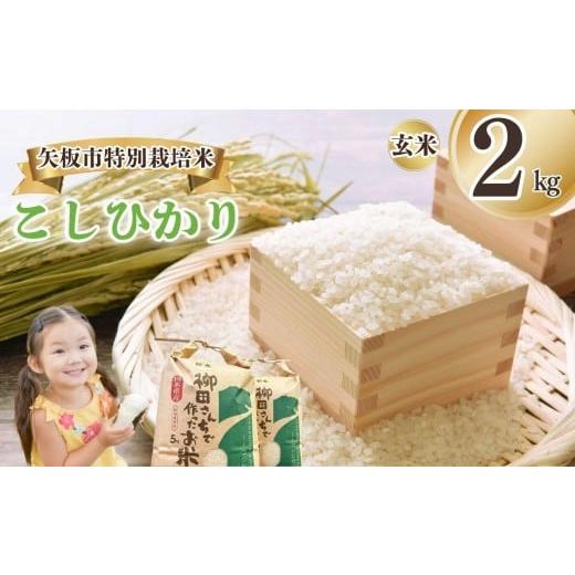 ふるさと納税 玄米 栃木県 矢板市 矢板市特別栽培米 こしひかり 玄米 2kg | お米 米 こめ 白米 玄米 にじのきらめき コシヒカリ こしひかり 美味しい お弁当 …
