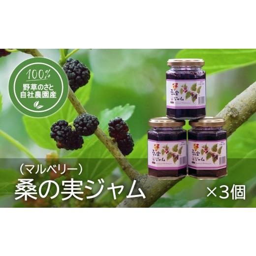 ふるさと納税 ジャム 山梨県 大月市 桑の実ジャム150g(3個)
