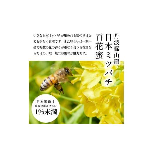 ふるさと納税 加工品等 はちみつ 兵庫県 丹波篠山市 丹波篠山産 日本蜜蜂百花蜜のハチミツ 180g×2瓶 はちみち ハチミツ 蜂蜜 非加熱 生 無添加の画像