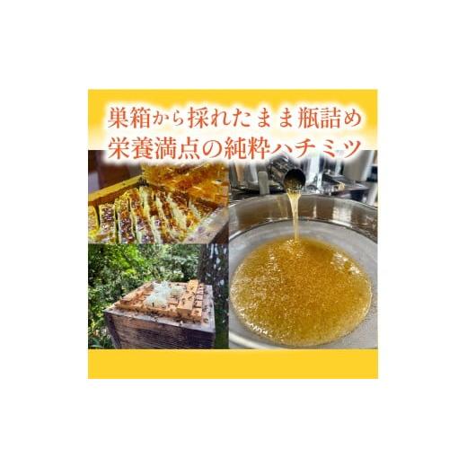 ふるさと納税 加工品等 はちみつ 兵庫県 丹波篠山市 丹波篠山産 日本蜜蜂百花蜜のハチミツ 180g×2瓶 はちみち ハチミツ 蜂蜜 非加熱 生 無添加の画像