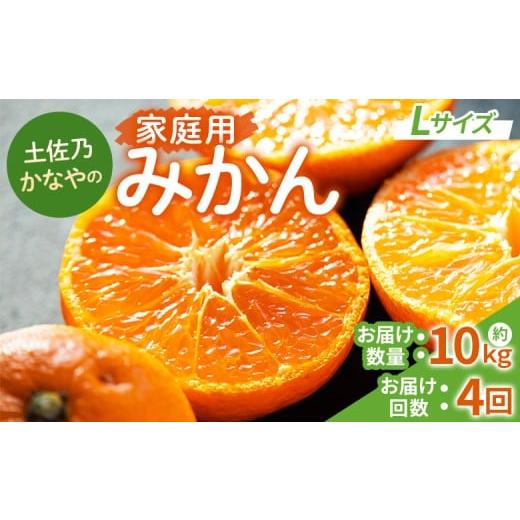 ふるさと納税 果物類 みかん 高知県 香南市 みかん定期便 4回 土佐乃かなやの家庭用みかん10kg(Lサイズ)×4回 合計40kg - 定期便 数量 国産 早生みかん 極早…