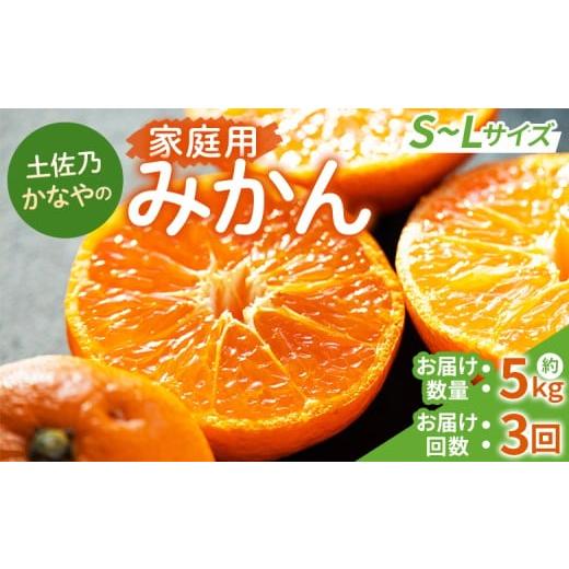 ふるさと納税 果物類 みかん 高知県 香南市 みかん定期便 3回 土佐乃かなやのみかん5kg(S〜Lサイズ)×3回 合計15kg - みかん定期便 数量 柑橘定期便 早生みか…