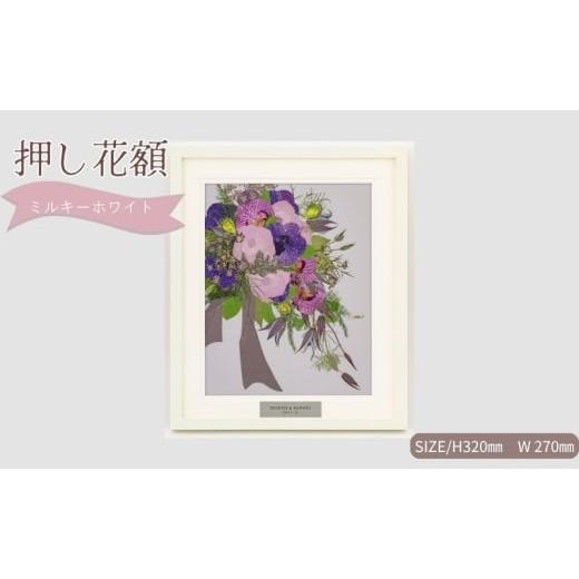 ふるさと納税 花・苗木 愛知県 日進市 想い出が宿る押し花額サイズS ミルキーホワイト 押し花 額装 プロポーズ 誕生日 結婚記念日 卒業式 開業祝い 退職祝い …