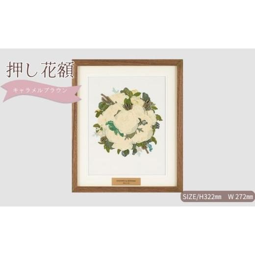 ふるさと納税 花・苗木 愛知県 日進市 想い出が宿る押し花額サイズS キャラメルブラウン 押し花 額装 プロポーズ 誕生日 結婚記念日 卒業式 開業祝い 退職祝い…